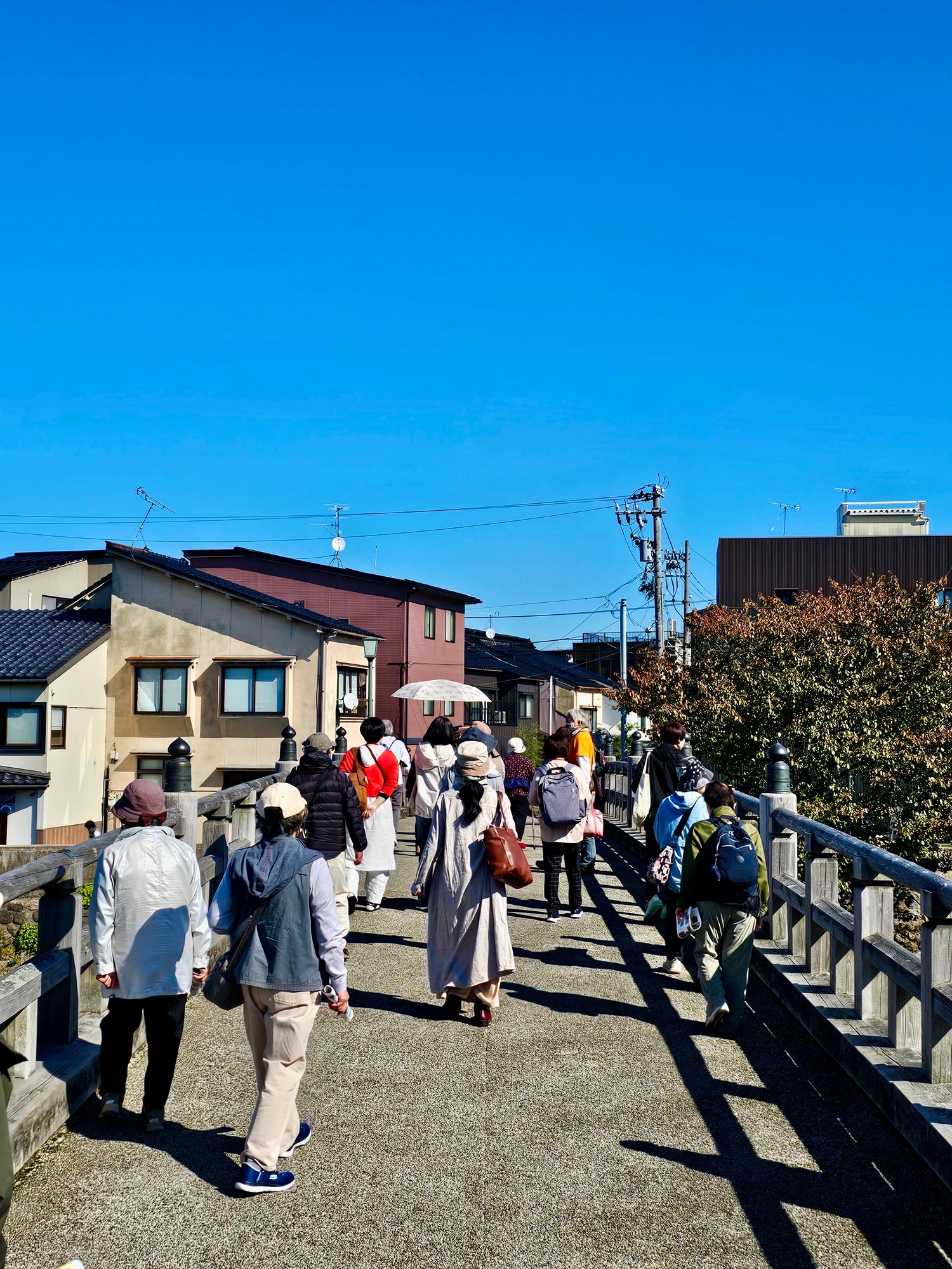 20251030_111258 20251030_111258