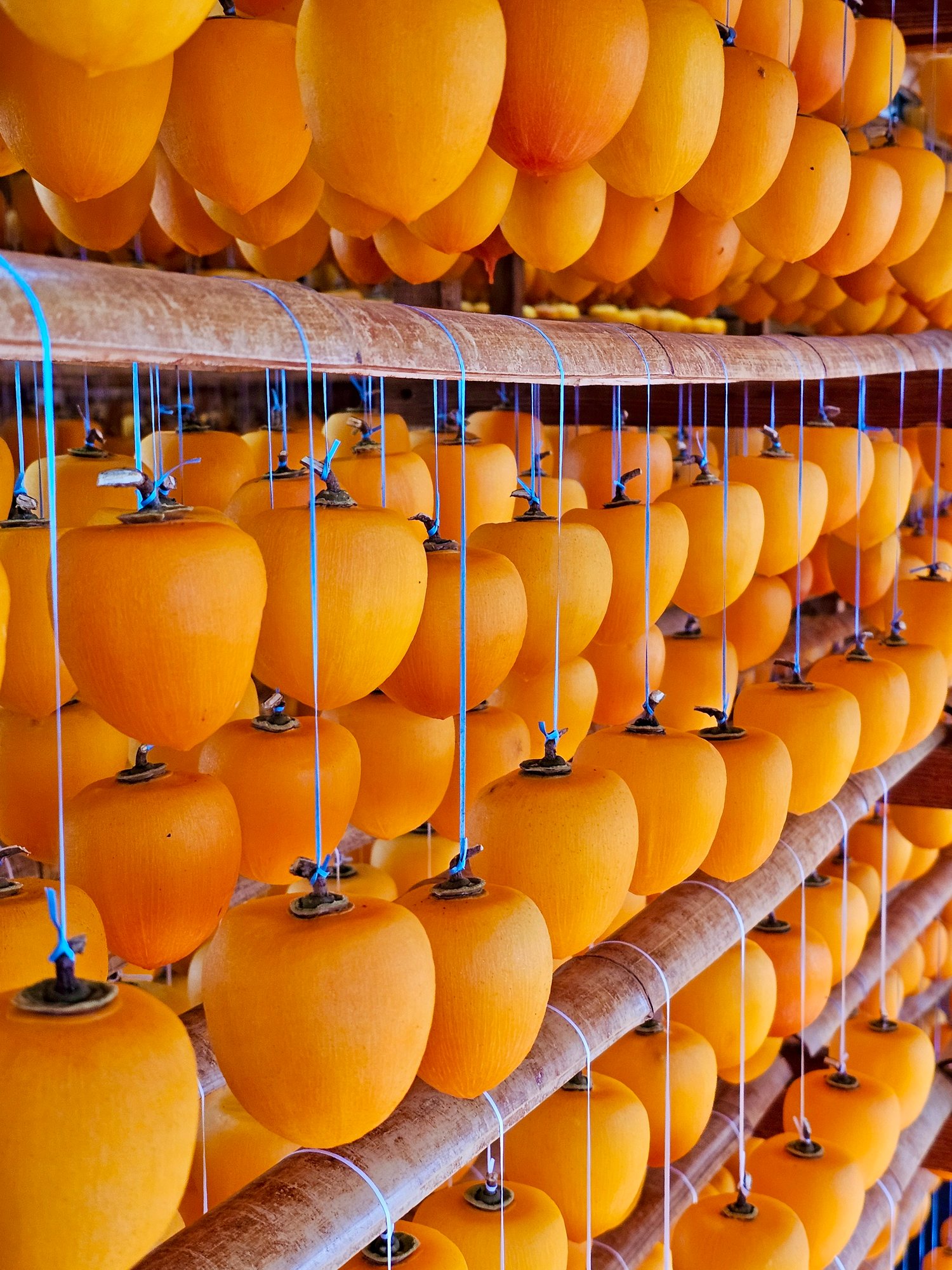 20251115_124253 20251115_124253